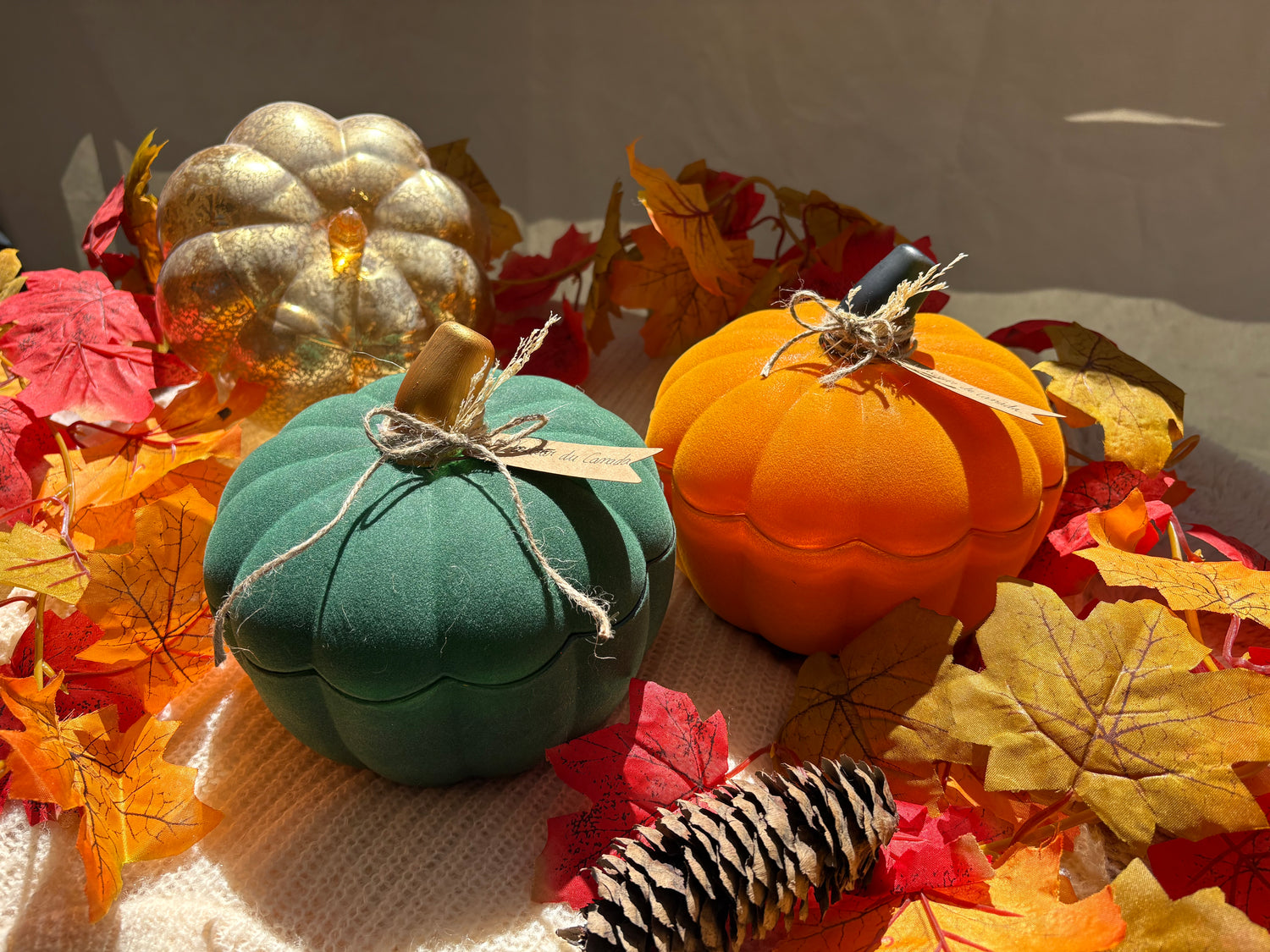 Collection d’automne