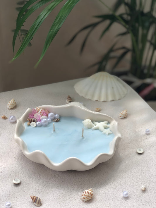 Coquillage